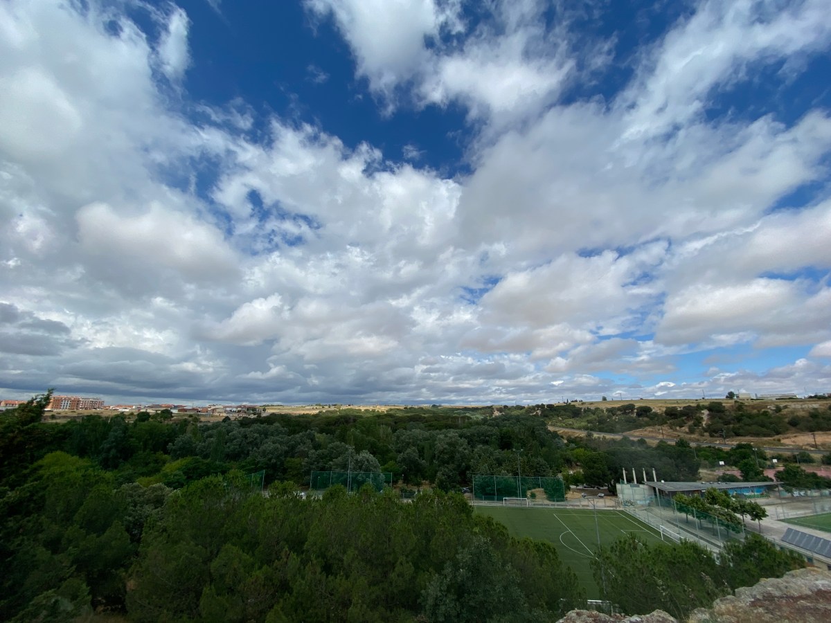“Re-Valorizar”, la iniciativa del PSOE en el Ayuntamiento de Zamora para poner en valor el Bosque de&nbsp;Valorio.