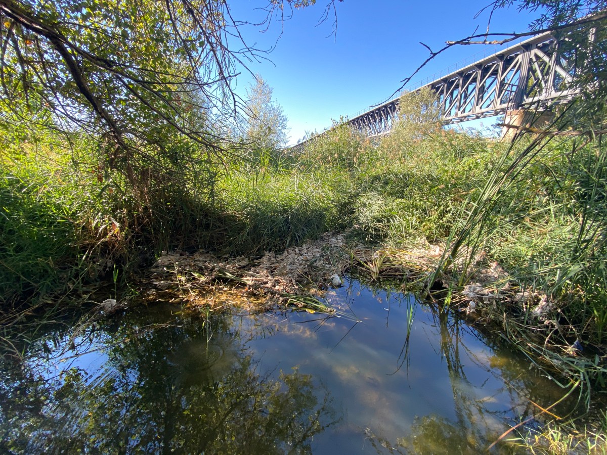 Los concejales del PSOE informan sobre un nuevo vertido en la zona de Los Tres Árboles y piden una revisión general del sistema de&nbsp;saneamiento.