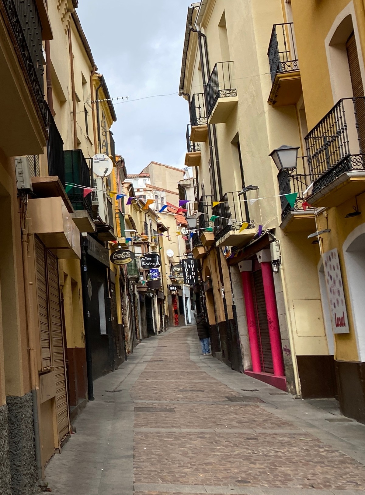 El PSOE en el Ayuntamiento de Zamora propone la ampliación de los Zamora Bonos a la hostelería, gimnasios y centros&nbsp;deportivos.