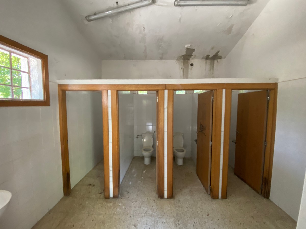 El PSOE en el Ayuntamiento de Zamora vuelve a solicitar intervenir urgentemente en Valorio ante su constante&nbsp;degradación