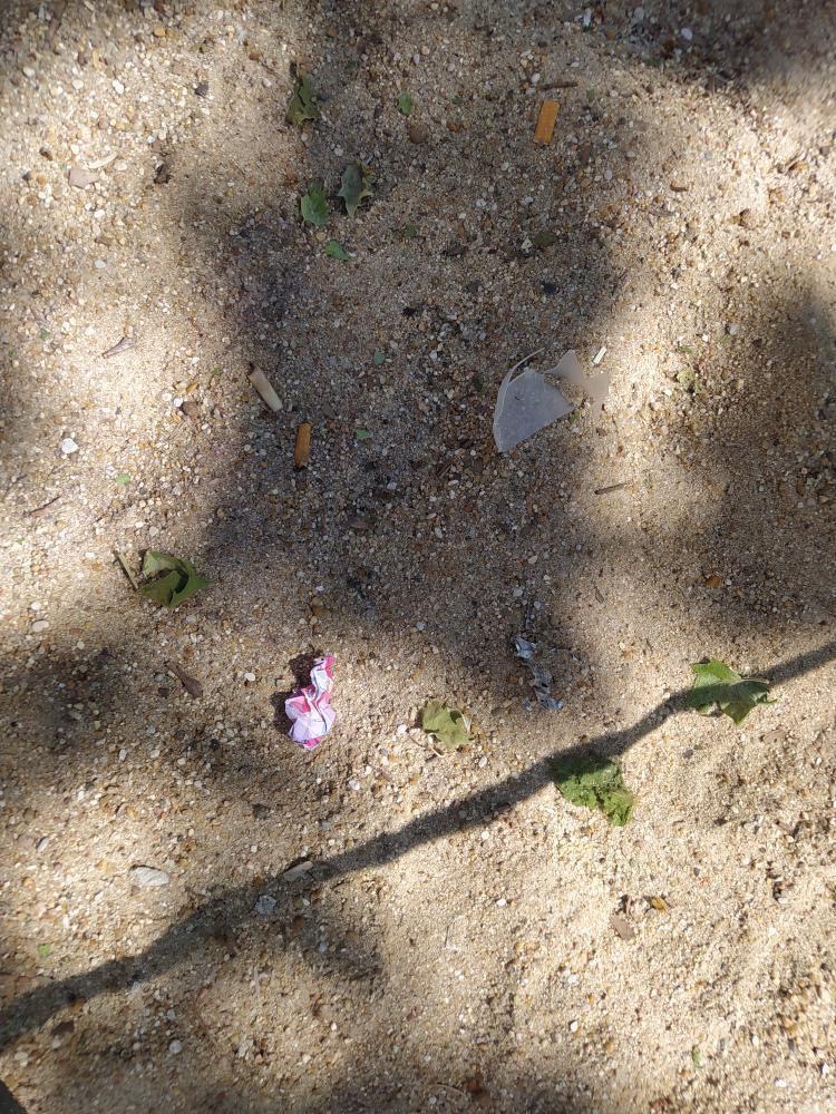 El PSOE de Zamora Ciudad advierte del estado de abandono del parque de Las Merinas desde las Fiestas de San José&nbsp;Obrero.