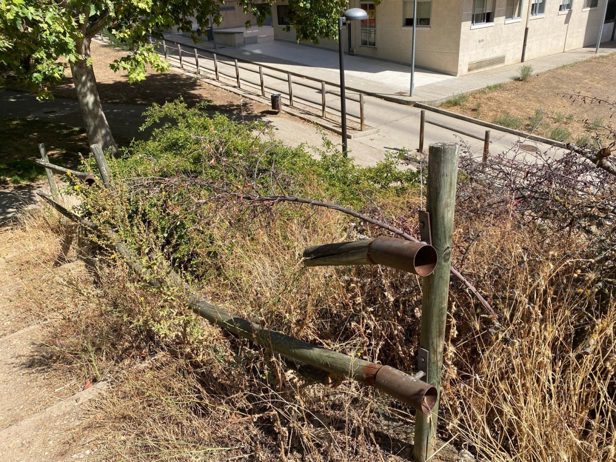 El PSOE de Zamora Ciudad solicita la intervención urgente en las laderas de Consejo de Europa y Peña&nbsp;Trevinca